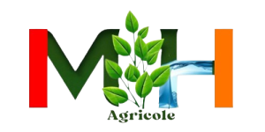 Design_sans_titre-removebg-preview